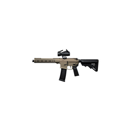 Integrally Suppressed AR-22 rifle