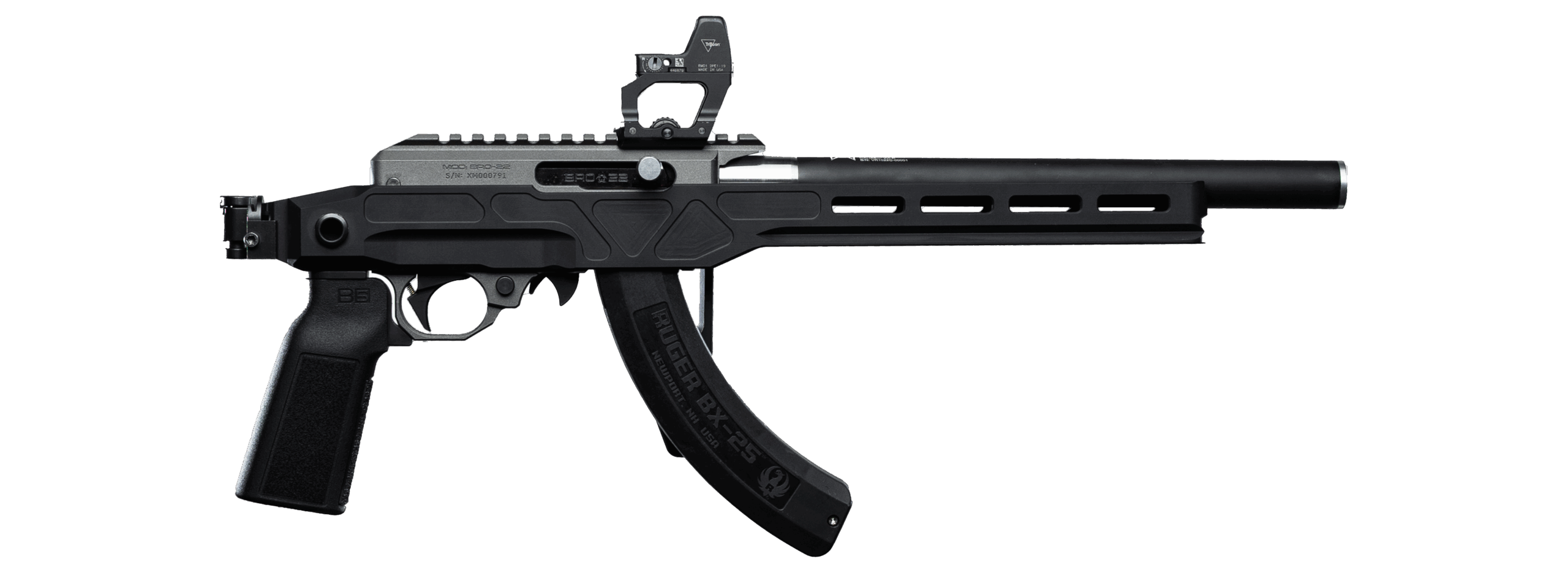 Ruger 10/22 Charger with Vanquish 22 barrel transparent